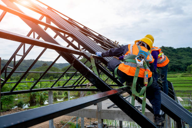 Best Metal Roofing Contractor  in Marion, WI