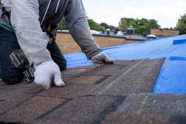 Best Gutter Installation and Roofing  in Marion, WI