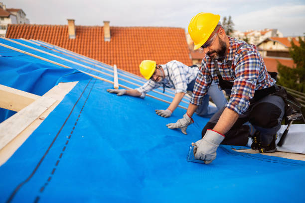 Best Roof Inspection Near Me  in Marion, WI