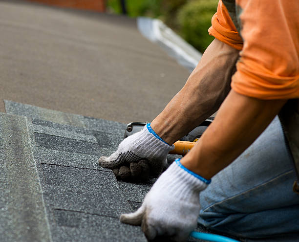 Best Local Roofing Companies  in Marion, WI